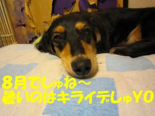 日常 1683.jpg