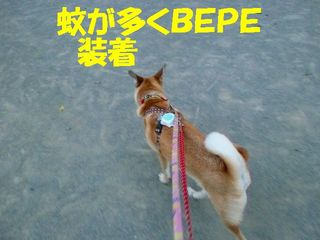 日常 1715.jpg