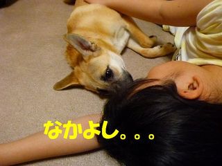 日常 1717.jpg