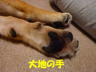 日常 1719.jpg