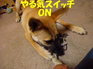 日常 1757.jpg