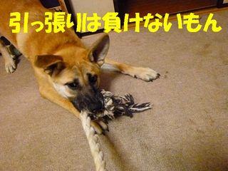 日常 1760.jpg