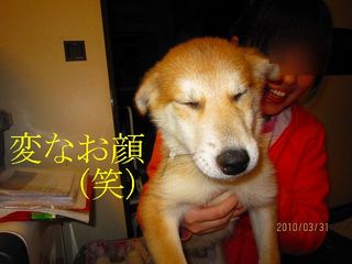 日常 278.jpg
