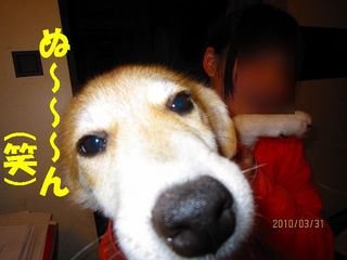 日常 281.jpg