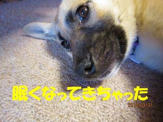 日常 315.jpg