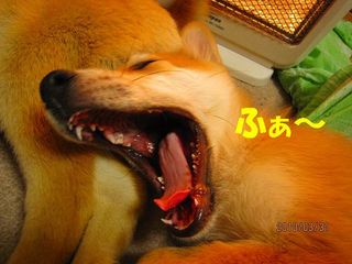 日常 321.jpg