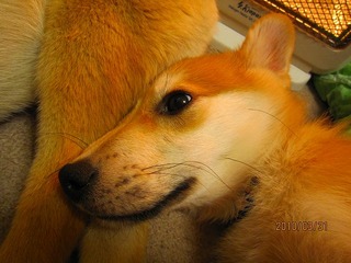 日常 322.jpg