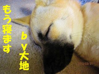 日常 323.jpg