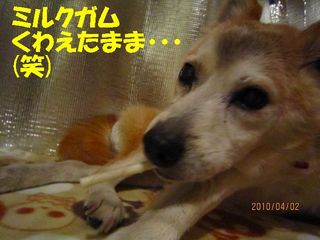日常 329.jpg