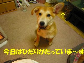 日常 332.jpg