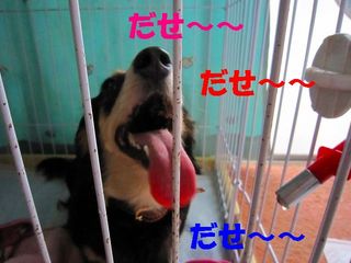 日常 371.jpg