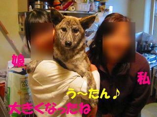 日常 379.jpg