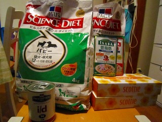 日常 380.jpg