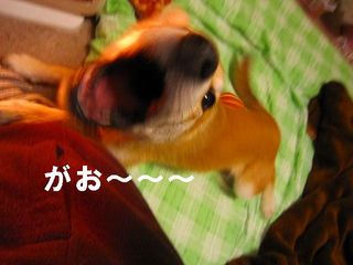 日常 388.jpg