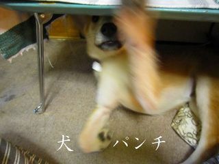 日常 391.jpg