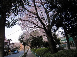 日常 400.jpg