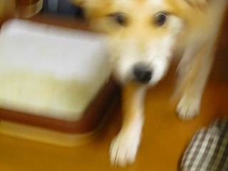 日常 408.jpg