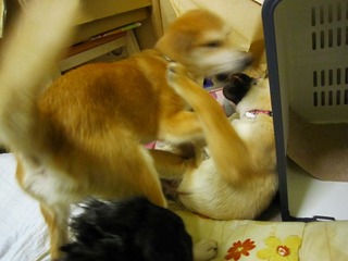 日常 411.jpg