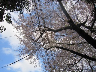 日常 416.jpg
