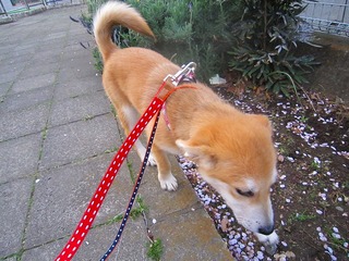 日常 424.jpg