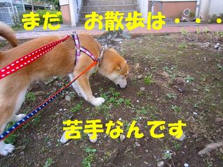 日常 427.jpg