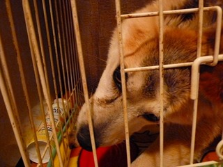 日常 478.jpg