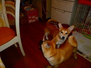 日常 489.jpg