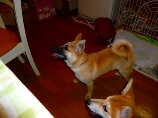 日常 490.jpg