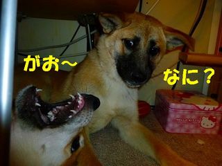 日常 504.jpg