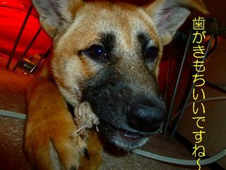 日常 511.jpg