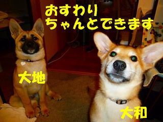 日常 515.jpg