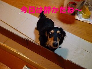 日常 529.jpg
