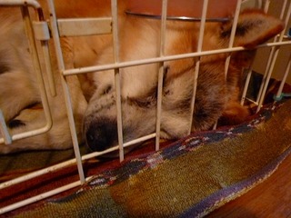 日常 538.jpg