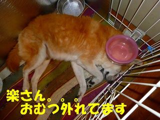 日常 541.jpg