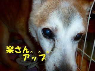 日常 543.jpg