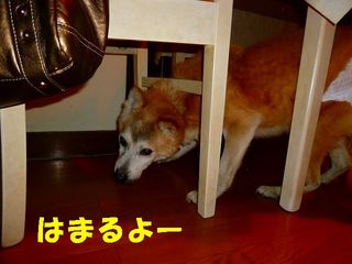 日常 546.jpg