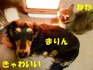 日常 553.jpg