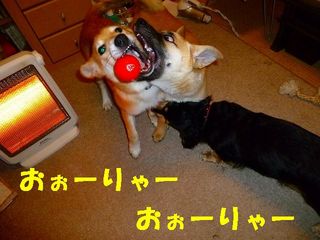 日常 563.jpg