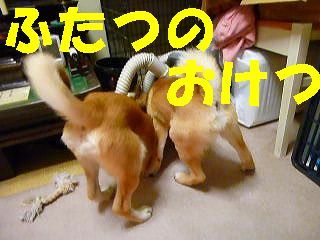 日常 564.jpg