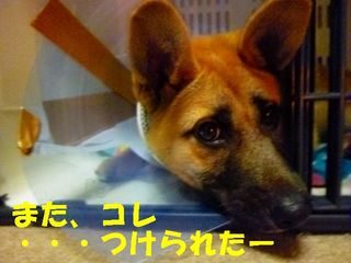 日常 576.jpg