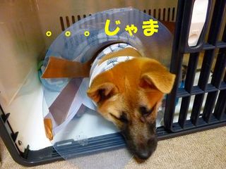 日常 579.jpg