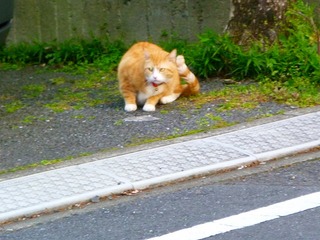 日常 590.jpg