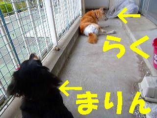 日常 597.jpg
