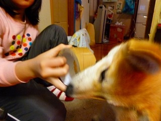 日常 599.jpg