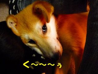 日常 605.jpg