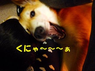 日常 606.jpg