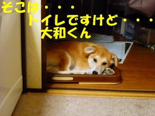 日常 611.jpg
