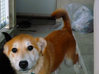 日常 619.jpg