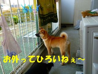 日常 621.jpg