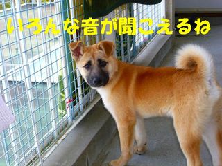 日常 622.jpg